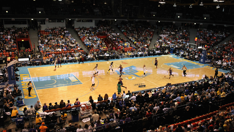 Interview with Chicago Sky President Adam Fox photo