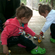 Reset buttons for the New Year photo_th