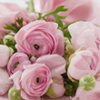 Countdown to Mother’s Day photo_th