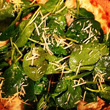 DIY Pizza photo_th