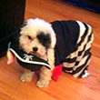 Happy Halloween, Oy!sters! photo_th