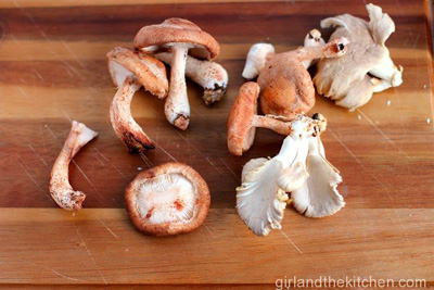 Wild Mushroom and Beef Stew photo 4