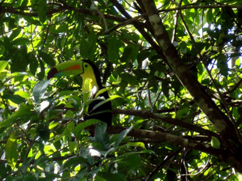 My name is Manuel Antonio photo 5