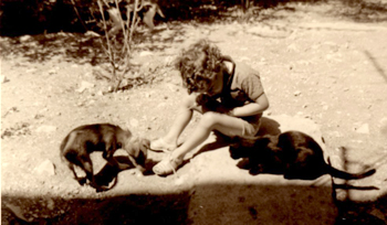 An Unlikely Pet Story photo 1