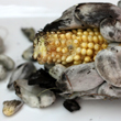 Huitlacoche photo_th