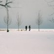 My welcome to Chicago moment photo_th