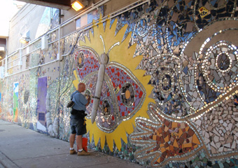 Butterfly Mural Large