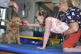 Canine Therapy photo 3