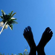 Oy44LJ_thumb