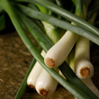 Kosher, Local and Organic photo 1 th