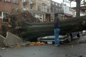 Jewish Federation opens fund for Hurricane Sandy relief photo 1